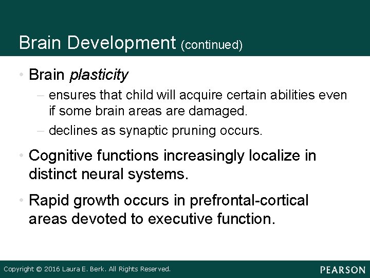 Brain Development (continued) • Brain plasticity – ensures that child will acquire certain abilities