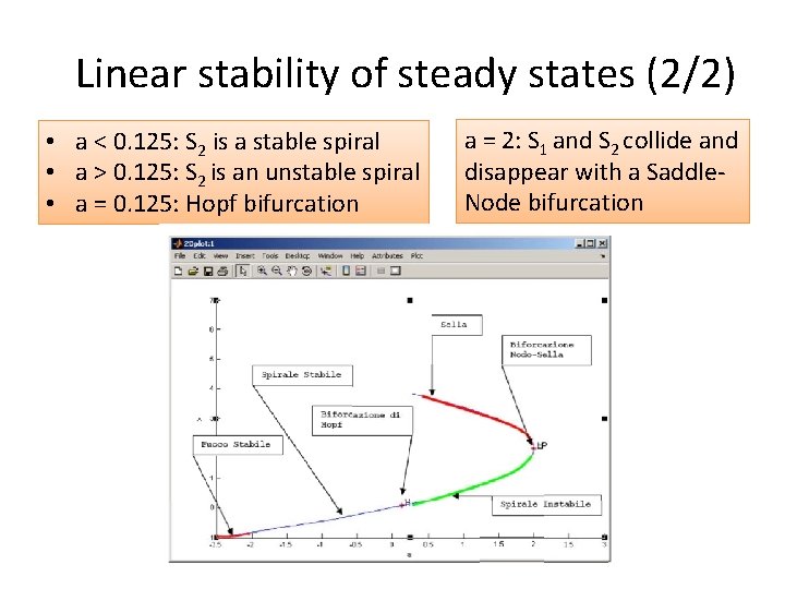 Linear stability of steady states (2/2) • a < 0. 125: S 2 is