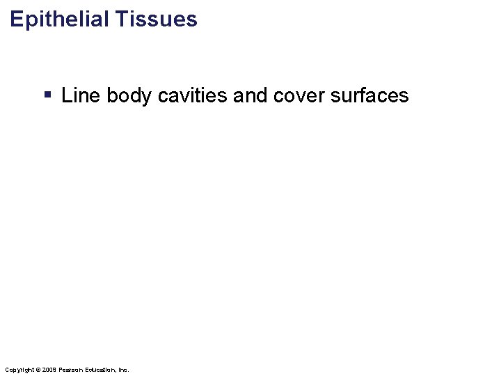 Epithelial Tissues § Line body cavities and cover surfaces Copyright © 2009 Pearson Education, Epithelial Tissues § Line body cavities and cover surfaces Copyright © 2009 Pearson Education,