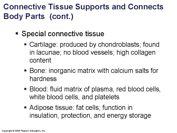 Connective Tissue Supports and Connects Body Parts (cont. ) § Special connective tissue § Connective Tissue Supports and Connects Body Parts (cont. ) § Special connective tissue §