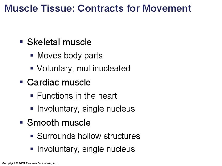 Muscle Tissue: Contracts for Movement § Skeletal muscle § Moves body parts § Voluntary, Muscle Tissue: Contracts for Movement § Skeletal muscle § Moves body parts § Voluntary,