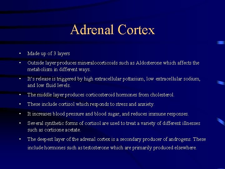 Adrenal Cortex • Made up of 3 layers • Outside layer produces mineralocorticoids such