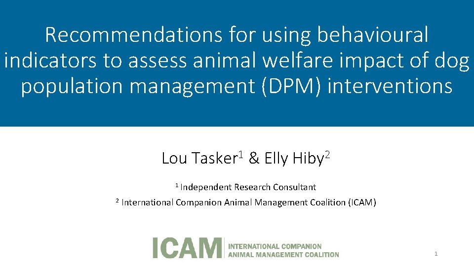 Recommendations for using behavioural indicators to assess animal welfare impact of dog population management