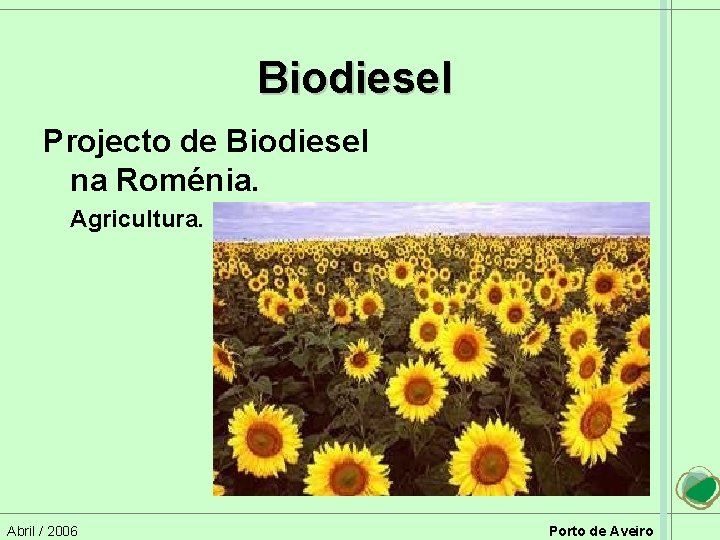 Biodiesel Projecto de Biodiesel na Roménia. Agricultura. Abril / 2006 Porto de Aveiro 