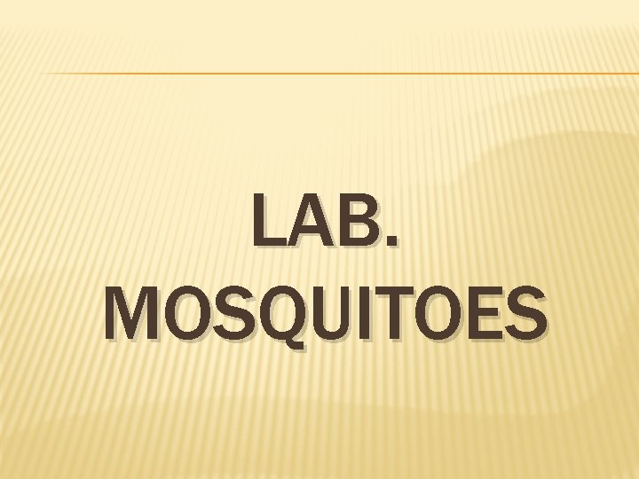 LAB. MOSQUITOES 