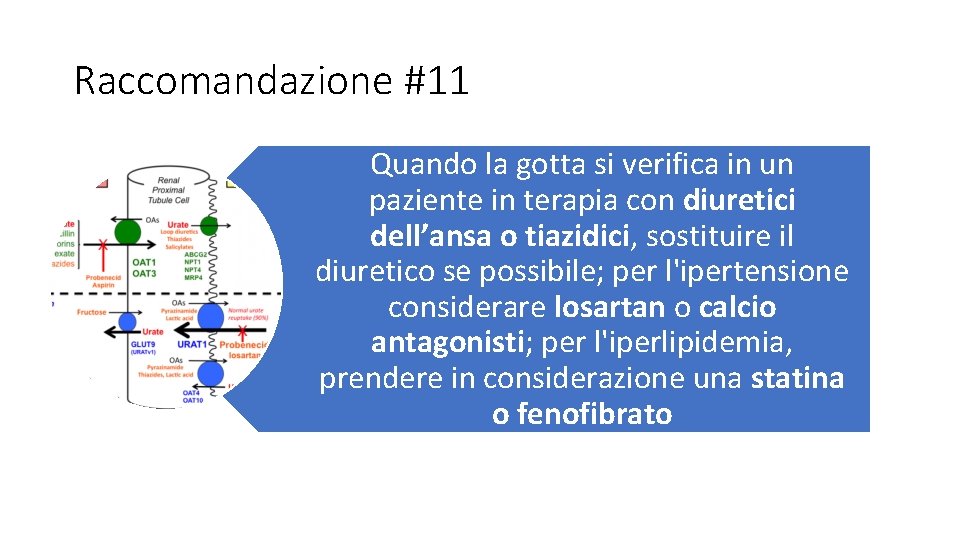 Raccomandazione #11 Quando la gotta si verifica in un paziente in terapia con diuretici