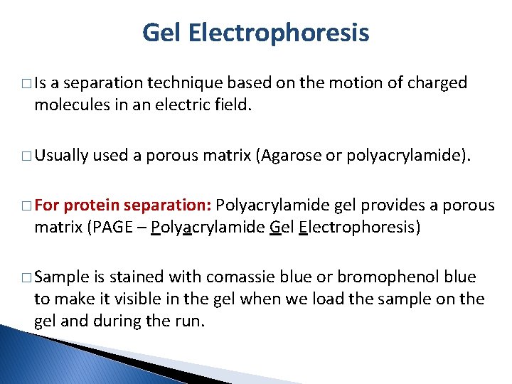 Gel Electrophoresis � Is a separation technique based on the motion of charged molecules