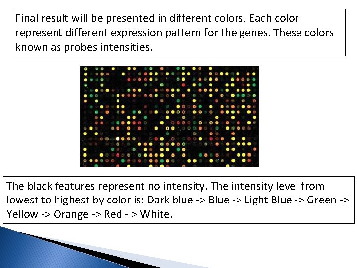 Final result will be presented in different colors. Each color represent different expression pattern