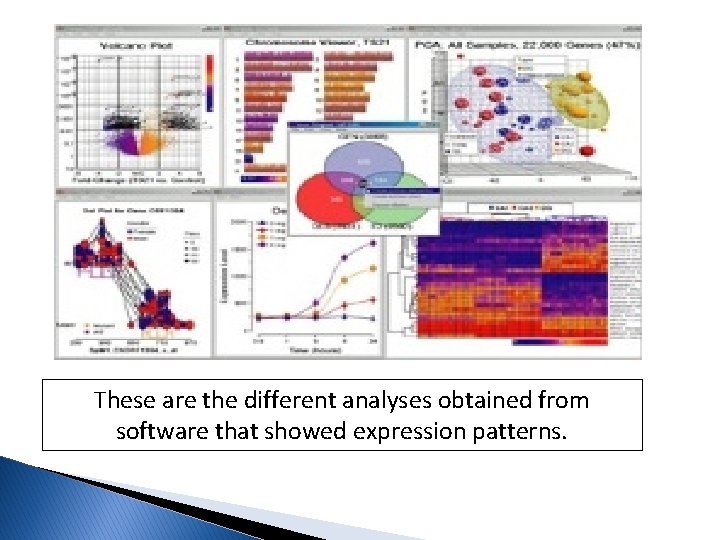 These are the different analyses obtained from software that showed expression patterns. 