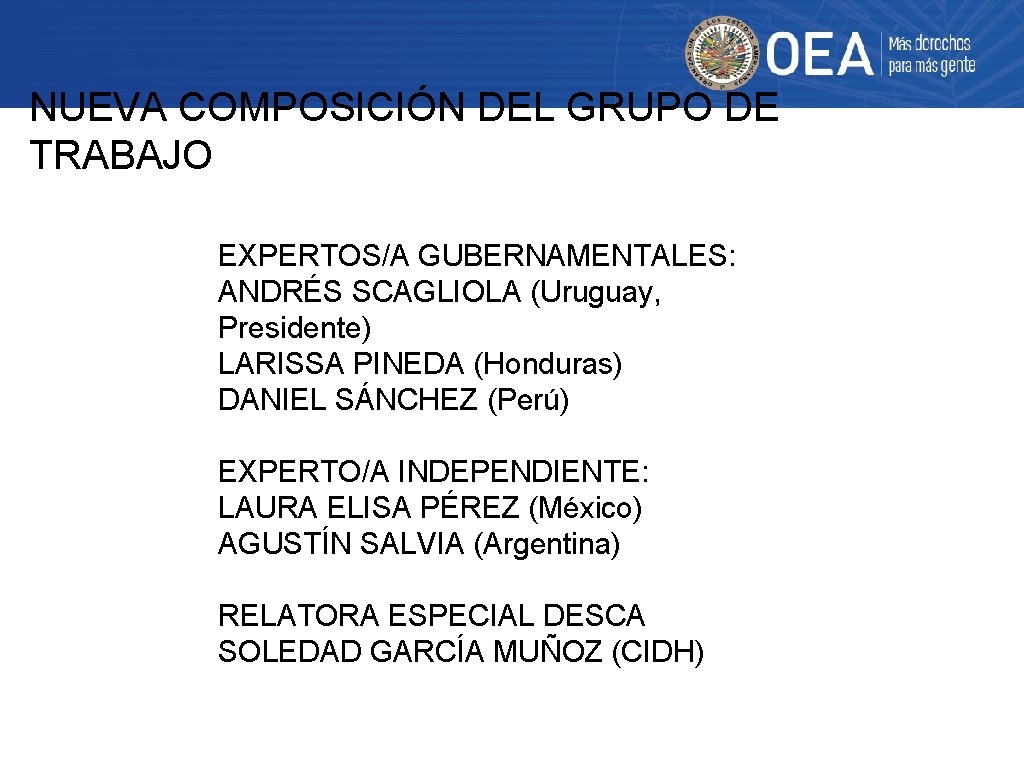 NUEVA COMPOSICIÓN DEL GRUPO DE TRABAJO EXPERTOS/A GUBERNAMENTALES: ANDRÉS SCAGLIOLA (Uruguay, Presidente) LARISSA PINEDA