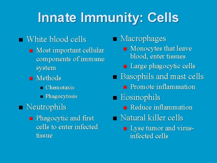 Innate Immunity: Cells n White blood cells n n Most important cellular components of
