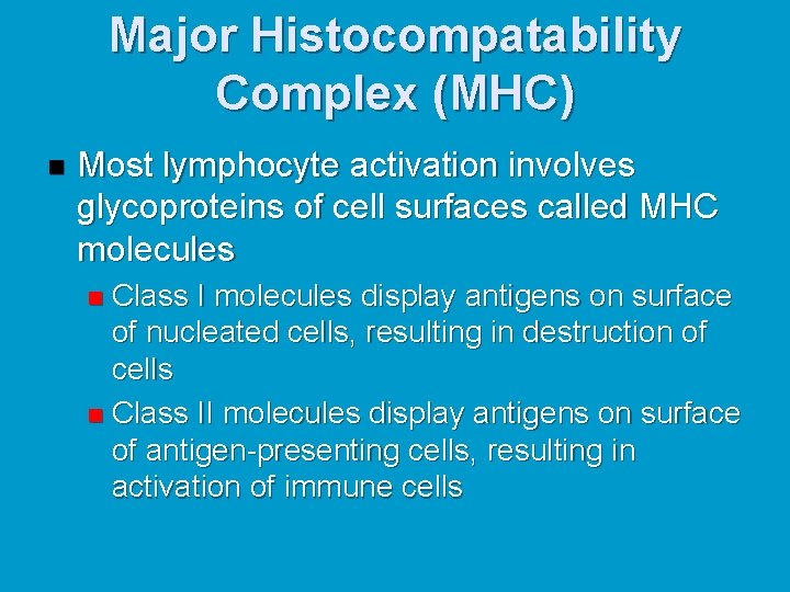Major Histocompatability Complex (MHC) n Most lymphocyte activation involves glycoproteins of cell surfaces called