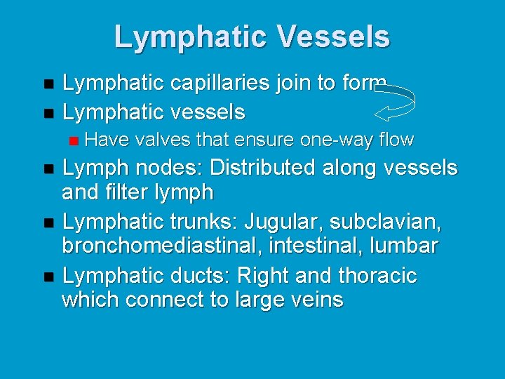 Lymphatic Vessels Lymphatic capillaries join to form n Lymphatic vessels n n Have valves