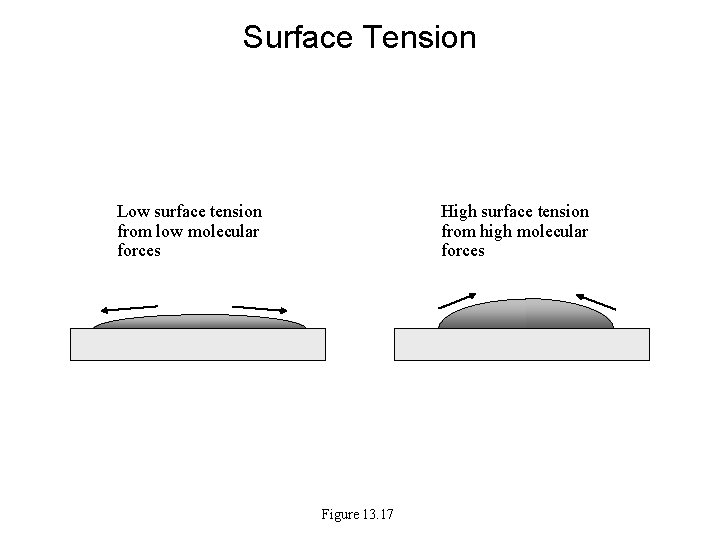 Surface Tension Low surface tension from low molecular forces High surface tension from high