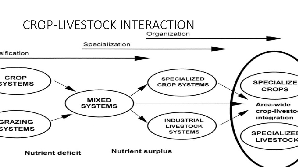 CROP-LIVESTOCK INTERACTION 