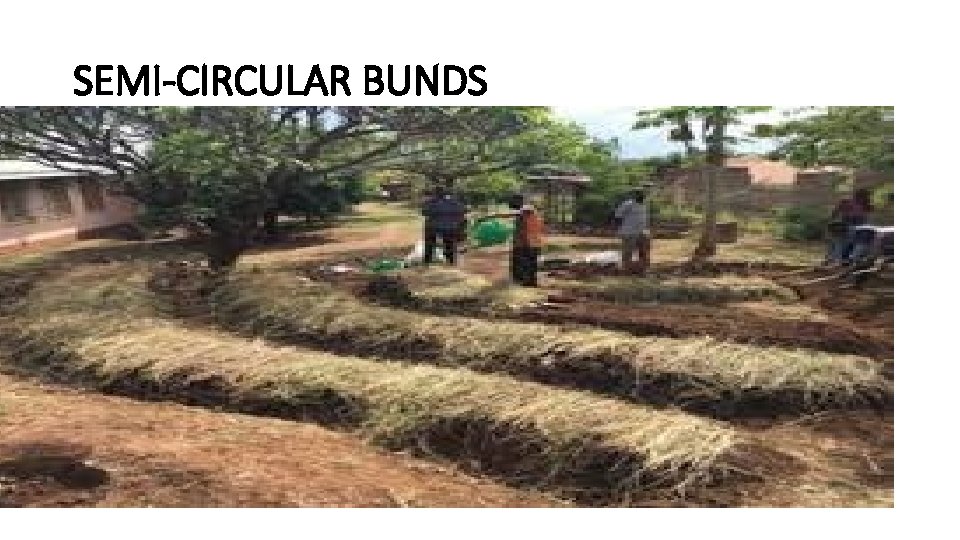 SEMI-CIRCULAR BUNDS 