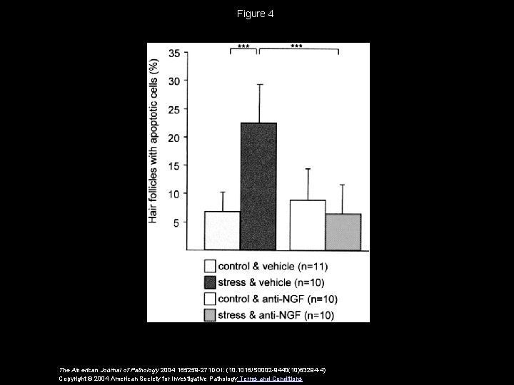 Figure 4 The American Journal of Pathology 2004 165259 -271 DOI: (10. 1016/S 0002