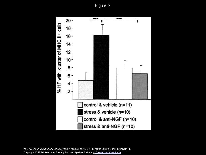 Figure 5 The American Journal of Pathology 2004 165259 -271 DOI: (10. 1016/S 0002