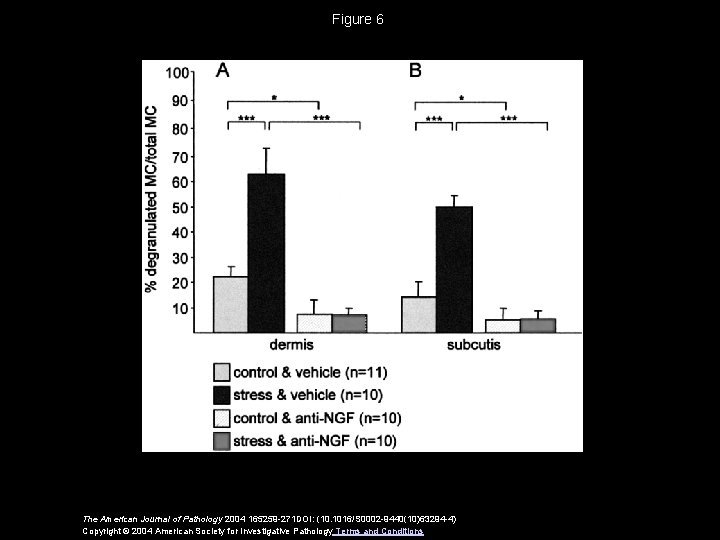 Figure 6 The American Journal of Pathology 2004 165259 -271 DOI: (10. 1016/S 0002