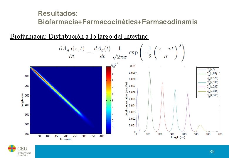Resultados: Biofarmacia+Farmacocinética+Farmacodinamia Biofarmacia: Distribución a lo largo del intestino 89 Resultados: Biofarmacia+Farmacocinética+Farmacodinamia Biofarmacia: Distribución a lo largo del intestino 89