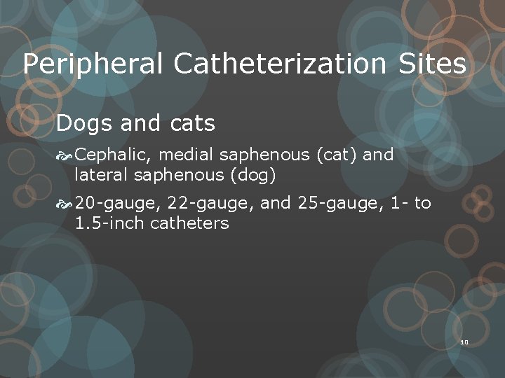 Peripheral Catheterization Sites Dogs and cats Cephalic, medial saphenous (cat) and lateral saphenous (dog)