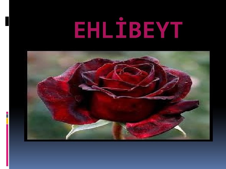 EHLİBEYT 