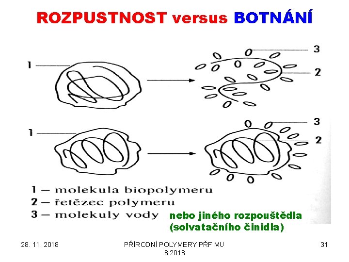 ROZPUSTNOST versus BOTNÁNÍ nebo jiného rozpouštědla (solvatačního činidla) 28. 11. 2018 PŘÍRODNÍ POLYMERY PŘF