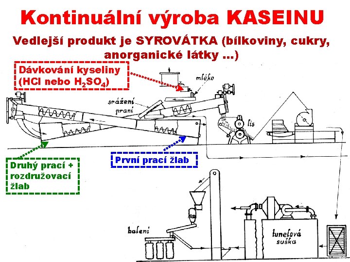 Kontinuální výroba KASEINU Vedlejší produkt je SYROVÁTKA (bílkoviny, cukry, anorganické látky …) Dávkování kyseliny