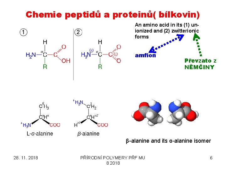 Chemie peptidů a proteinů( bílkovin) An amino acid in its (1) unionized and (2)