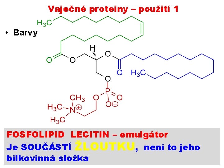 Vaječné proteiny – použití 1 • Barvy FOSFOLIPID LECITIN – emulgátor Je SOUČÁSTÍ ŽLOUTKU,