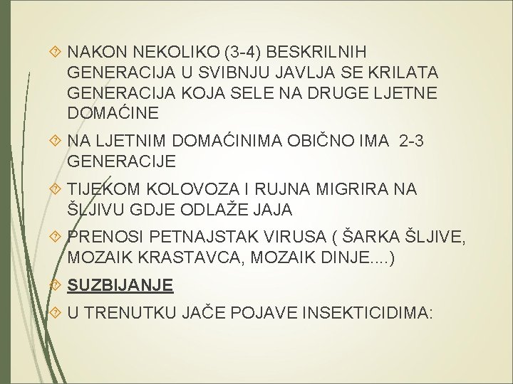  NAKON NEKOLIKO (3 -4) BESKRILNIH GENERACIJA U SVIBNJU JAVLJA SE KRILATA GENERACIJA KOJA