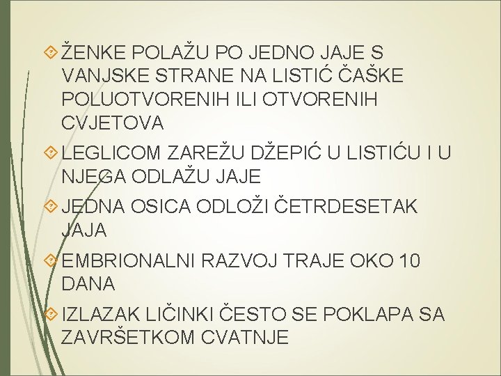  ŽENKE POLAŽU PO JEDNO JAJE S VANJSKE STRANE NA LISTIĆ ČAŠKE POLUOTVORENIH ILI