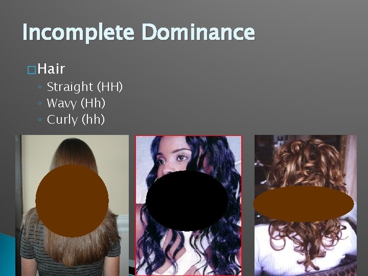 Incomplete Dominance � Hair ◦ Straight (HH) ◦ Wavy (Hh) ◦ Curly (hh) 