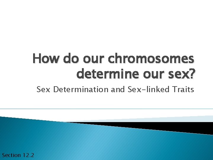 How do our chromosomes determine our sex? Sex Determination and Sex-linked Traits Section 12.