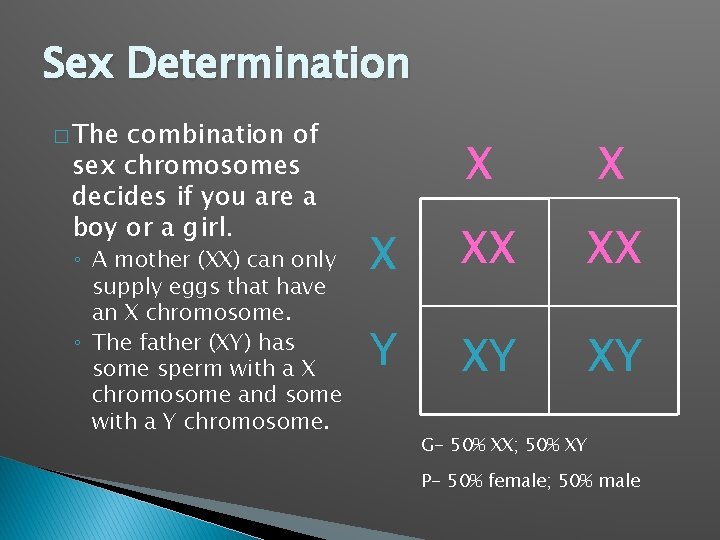 Sex Determination � The combination of sex chromosomes decides if you are a boy