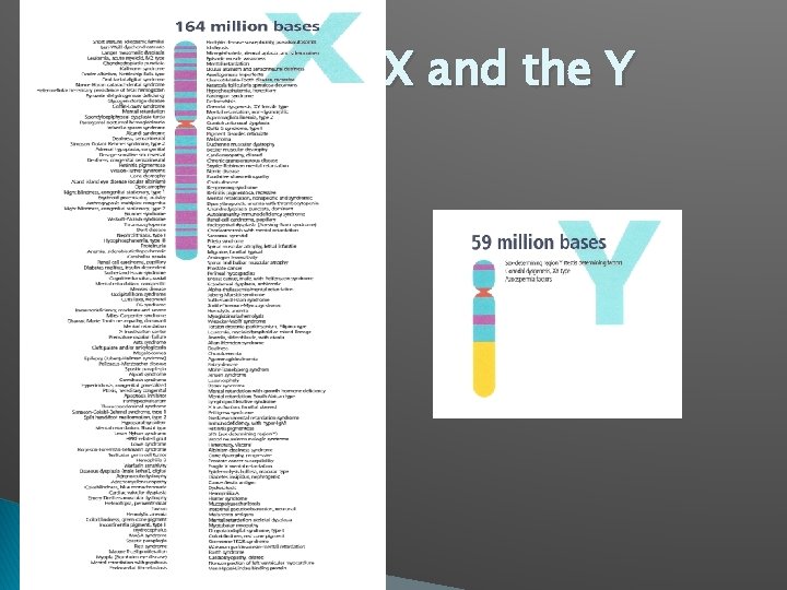 Comparing the X and the Y 