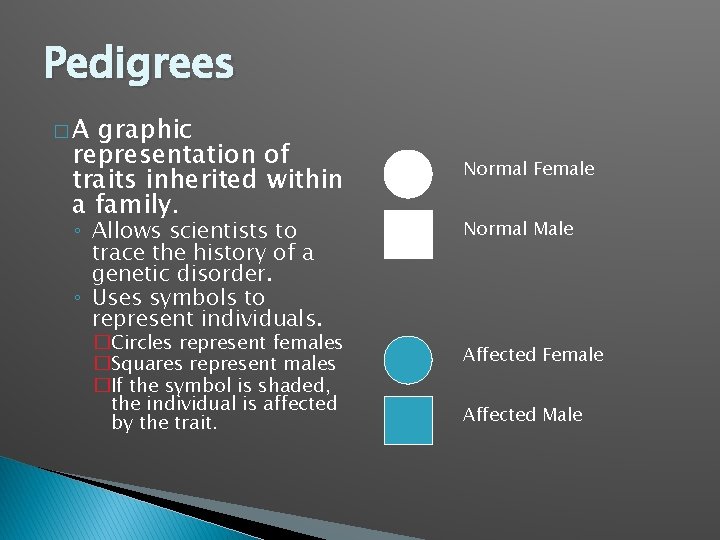 Pedigrees �A graphic representation of traits inherited within a family. ◦ Allows scientists to