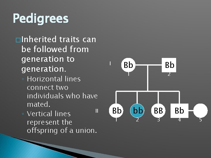 Pedigrees � Inherited traits can be followed from generation to generation. ◦ Horizontal lines