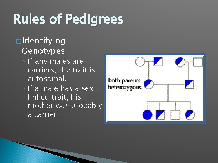 Rules of Pedigrees � Identifying Genotypes ◦ If any males are carriers, the trait