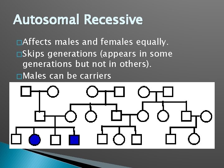 Autosomal Recessive � Affects males and females equally. � Skips generations (appears in some
