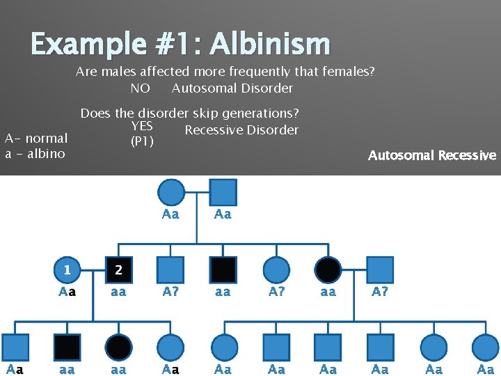 Example #1: Albinism Are males affected more frequently that females? NO Autosomal Disorder A-