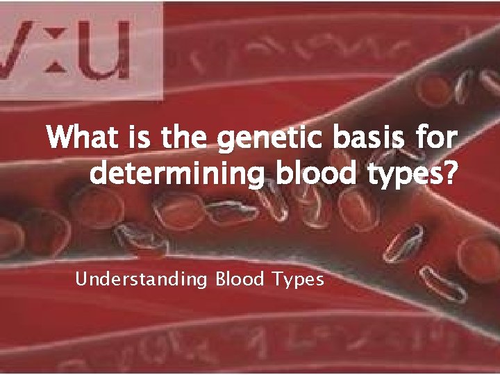What is the genetic basis for determining blood types? Understanding Blood Types 