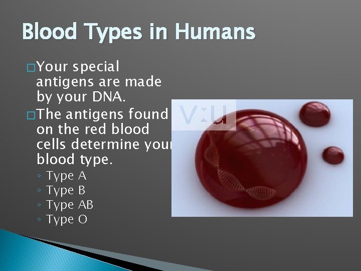 Blood Types in Humans � Your special antigens are made by your DNA. �