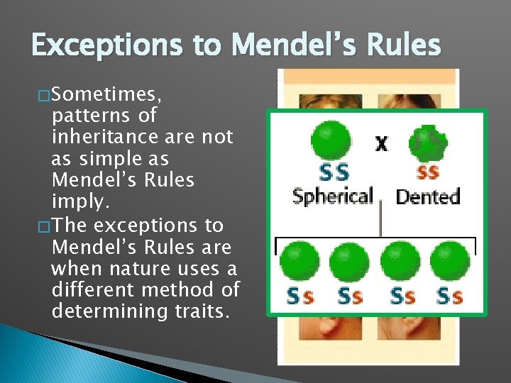 Exceptions to Mendel’s Rules � Sometimes, patterns of inheritance are not as simple as