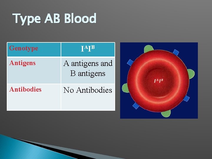 Type AB Blood Genotype I AI B Antigens A antigens and B antigens Antibodies