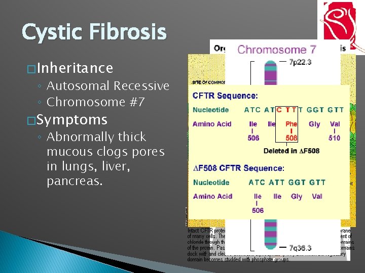 Cystic Fibrosis � Inheritance ◦ Autosomal Recessive ◦ Chromosome #7 � Symptoms ◦ Abnormally