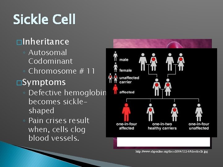 Sickle Cell � Inheritance ◦ Autosomal Codominant ◦ Chromosome # 11 � Symptoms ◦