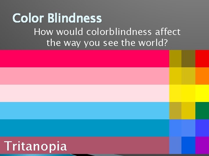 Color Blindness How would colorblindness affect the way you see the world? Tritanopia Deuteranopia