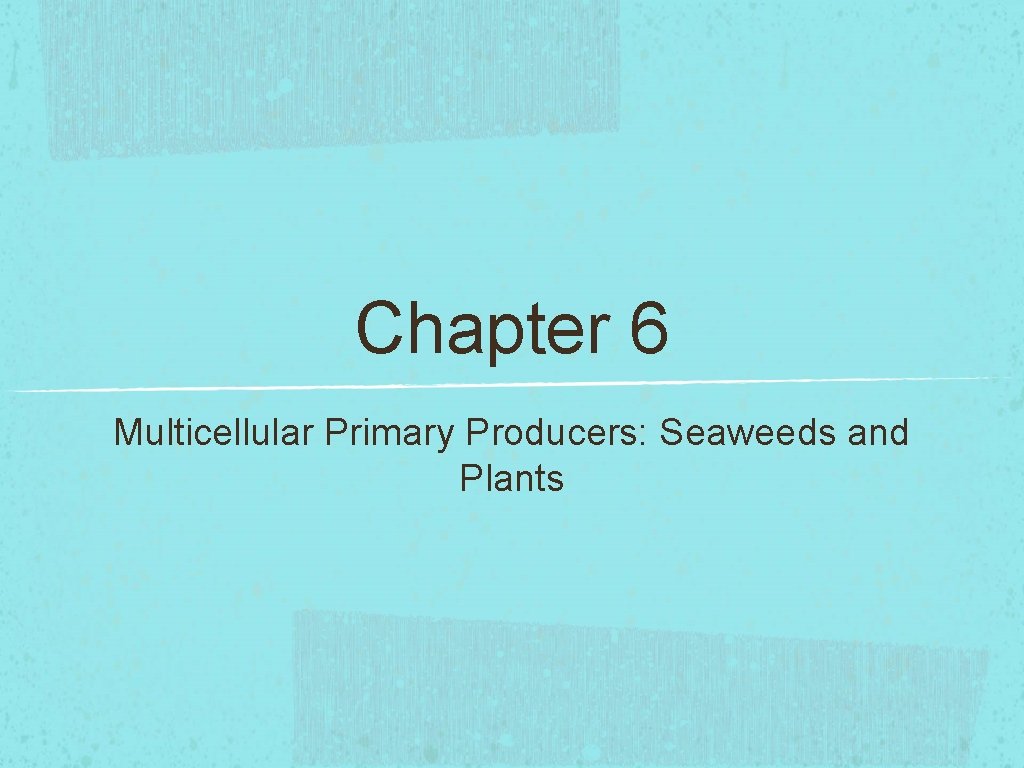 Chapter 6 Multicellular Primary Producers: Seaweeds and Plants 