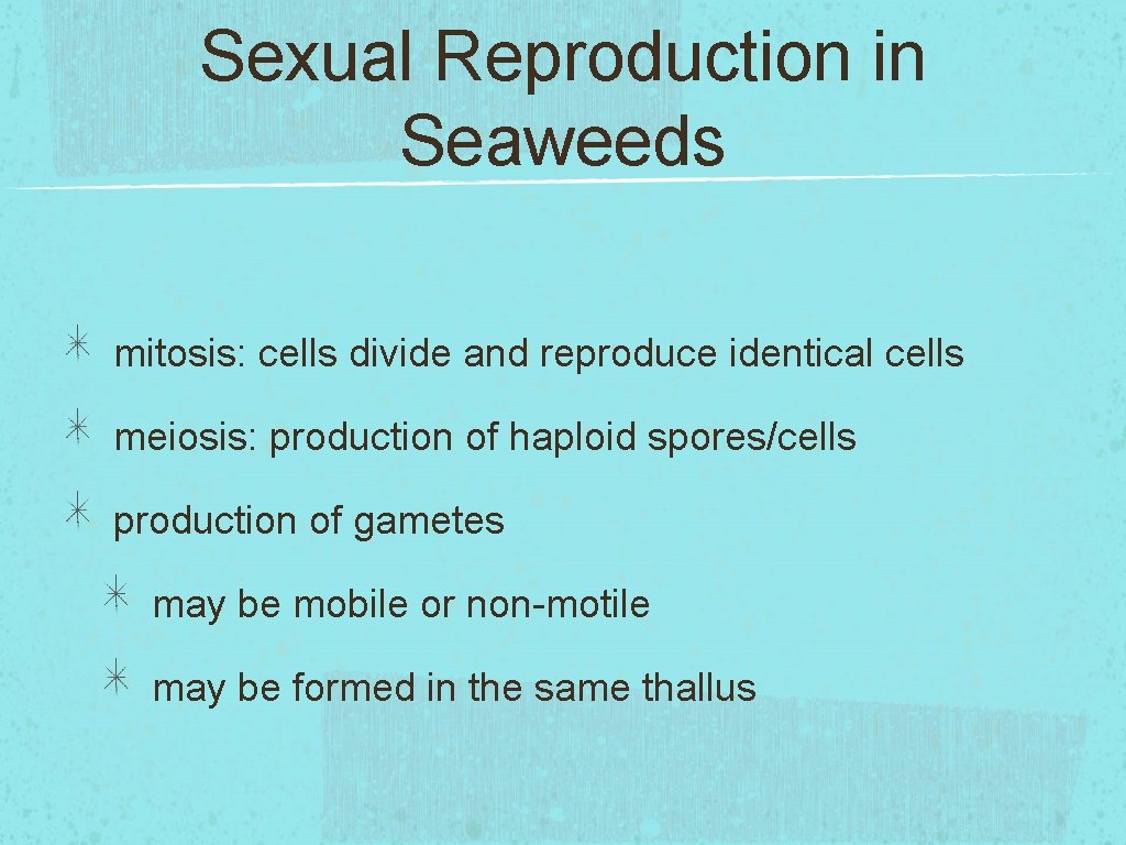 Sexual Reproduction in Seaweeds mitosis: cells divide and reproduce identical cells meiosis: production of